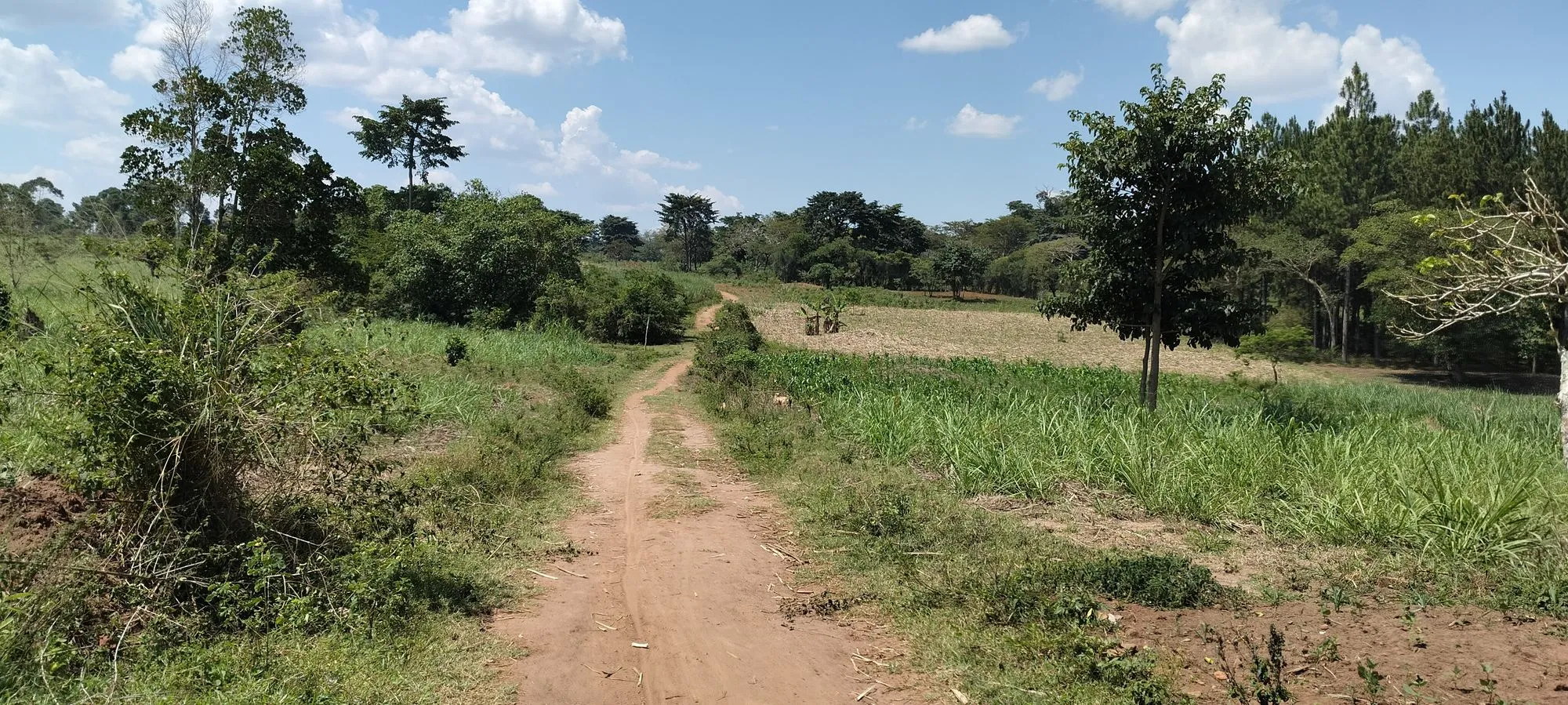 Photo 8 of the trip to Uganda in September 2026