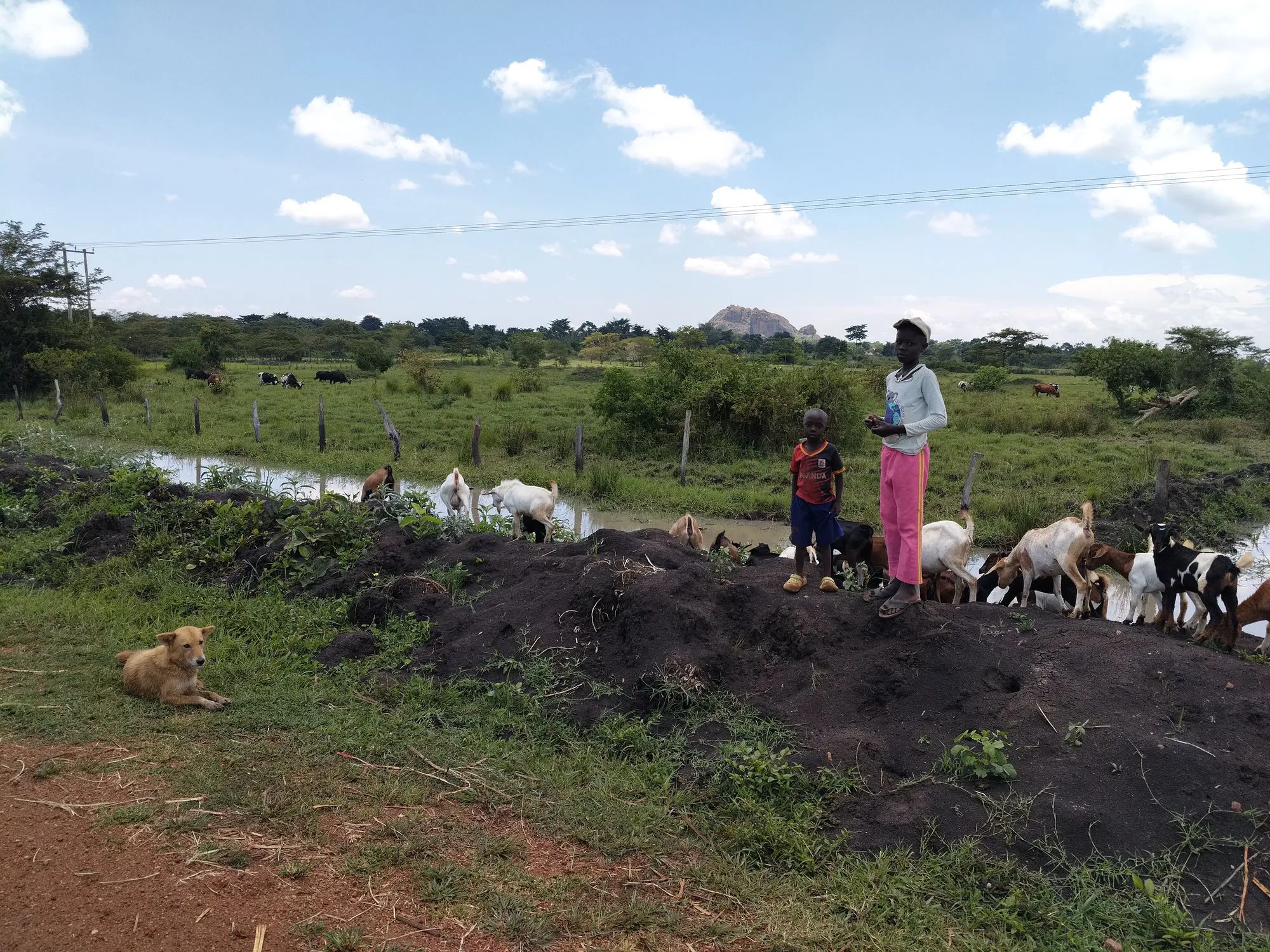Photo 20 of the trip to Uganda in September 2026