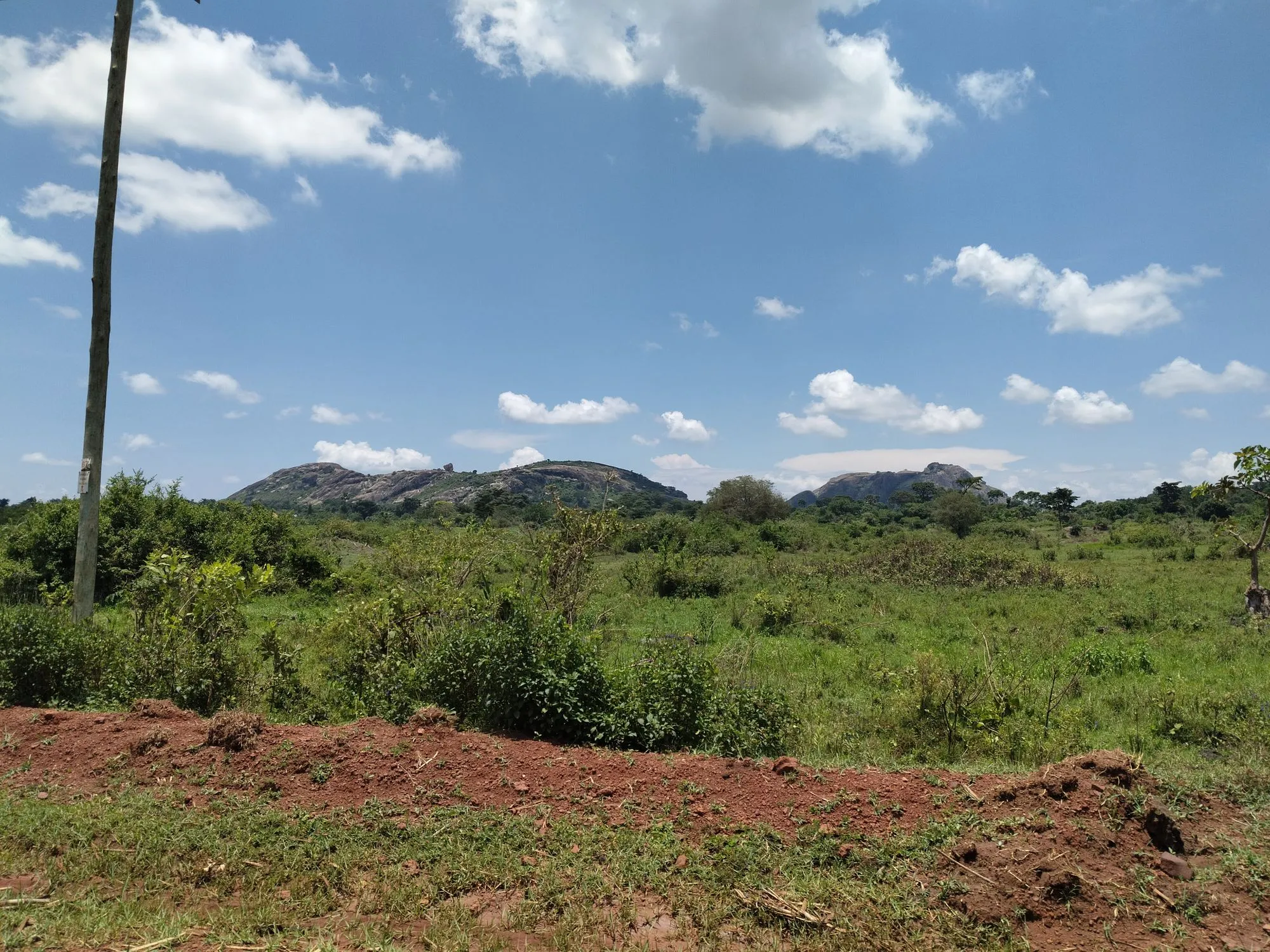 Photo 21 of the trip to Uganda in September 2026