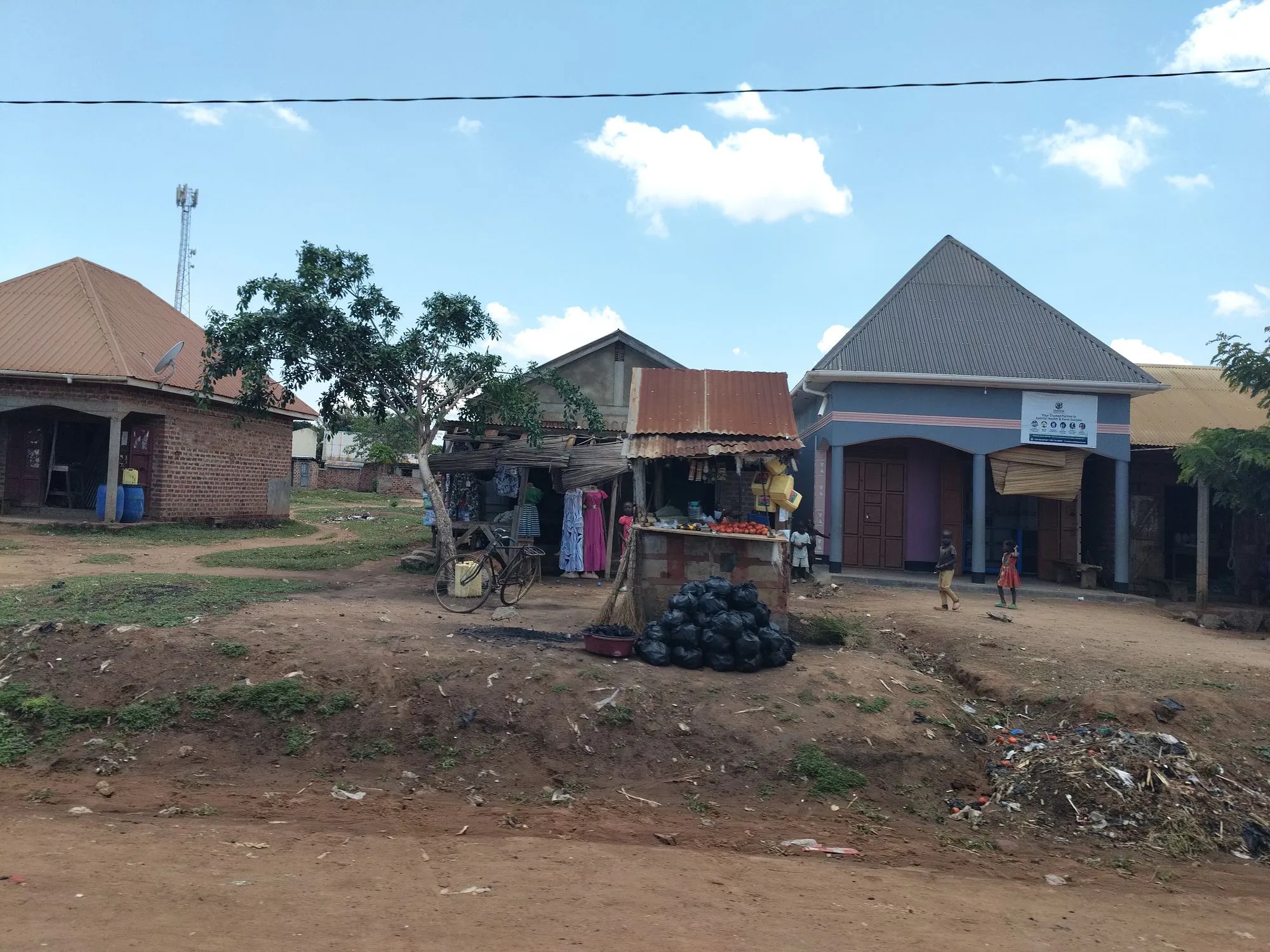 Photo 23 of the trip to Uganda in September 2026