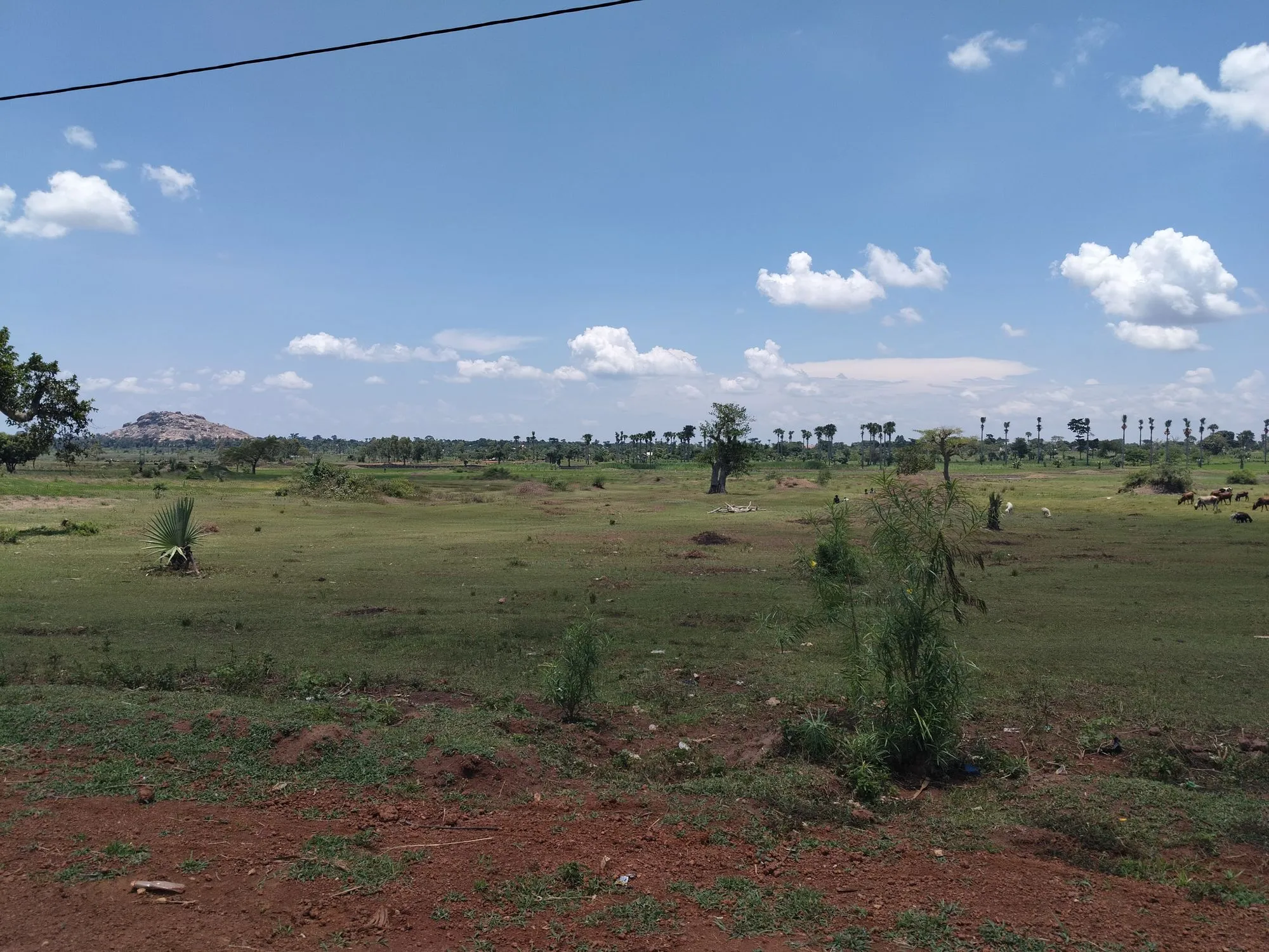 Photo 24 of the trip to Uganda in September 2026