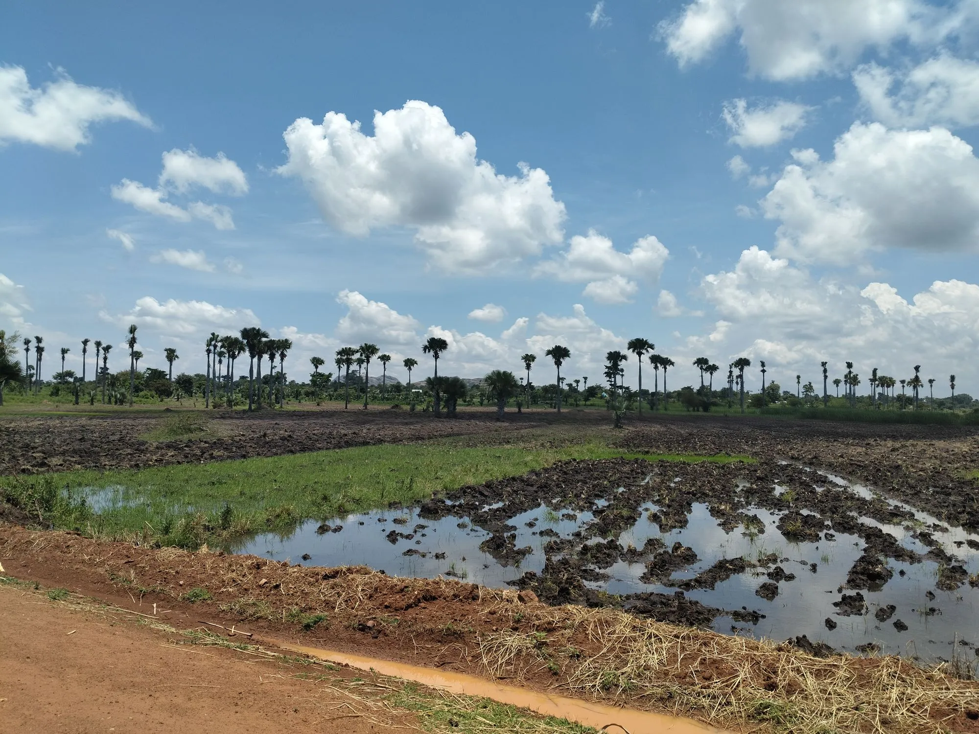 Photo 25 of the trip to Uganda in September 2026